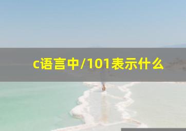 c语言中\101表示什么